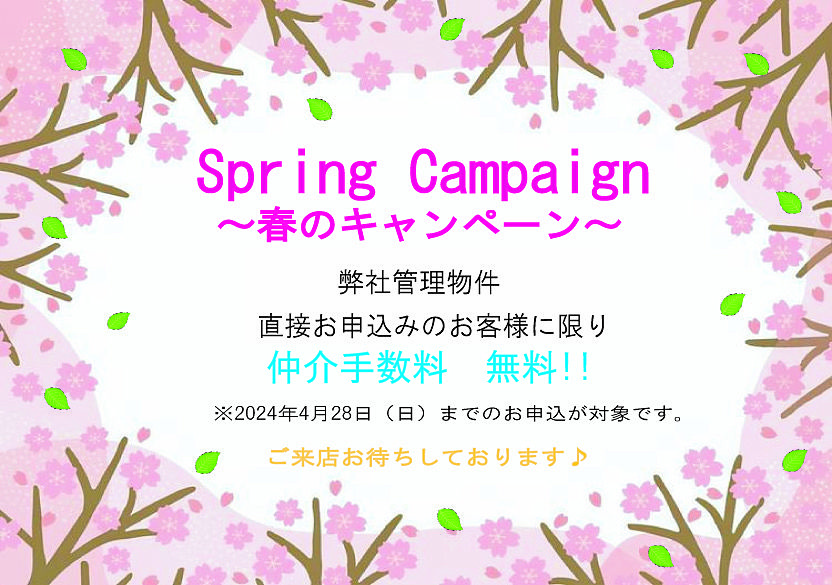 Spring Campaign 実施中！！！